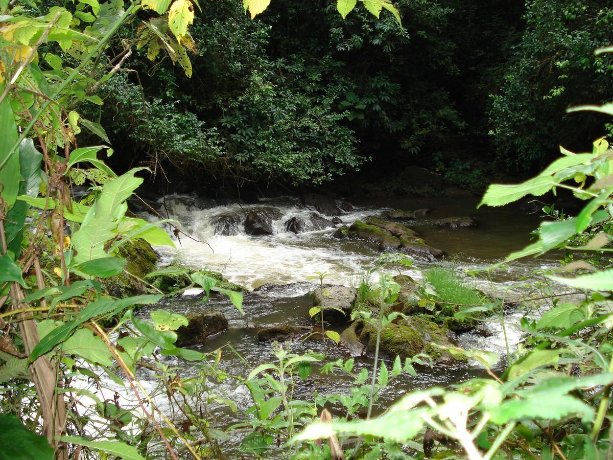 Koi Koi, Fort Portal Kasusu Dış mekan fotoğraf