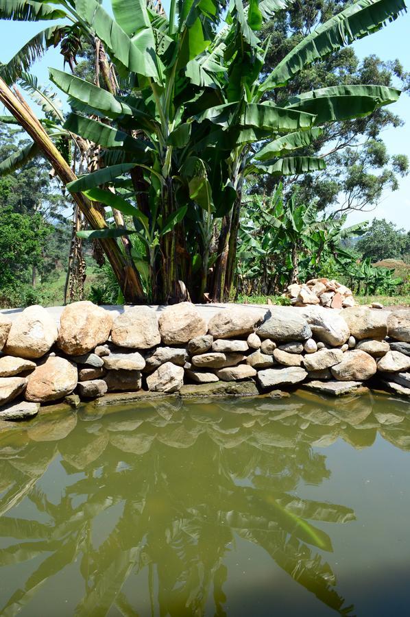 Koi Koi, Fort Portal Kasusu Dış mekan fotoğraf